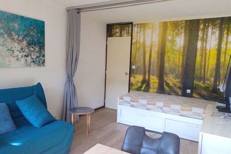 Studio lumineux vue pistes - Résidence le france