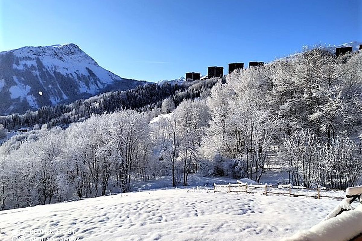 Appartement dans Chalet · 4km des pistes · Grande terrasse - Chalet le chardon bleu