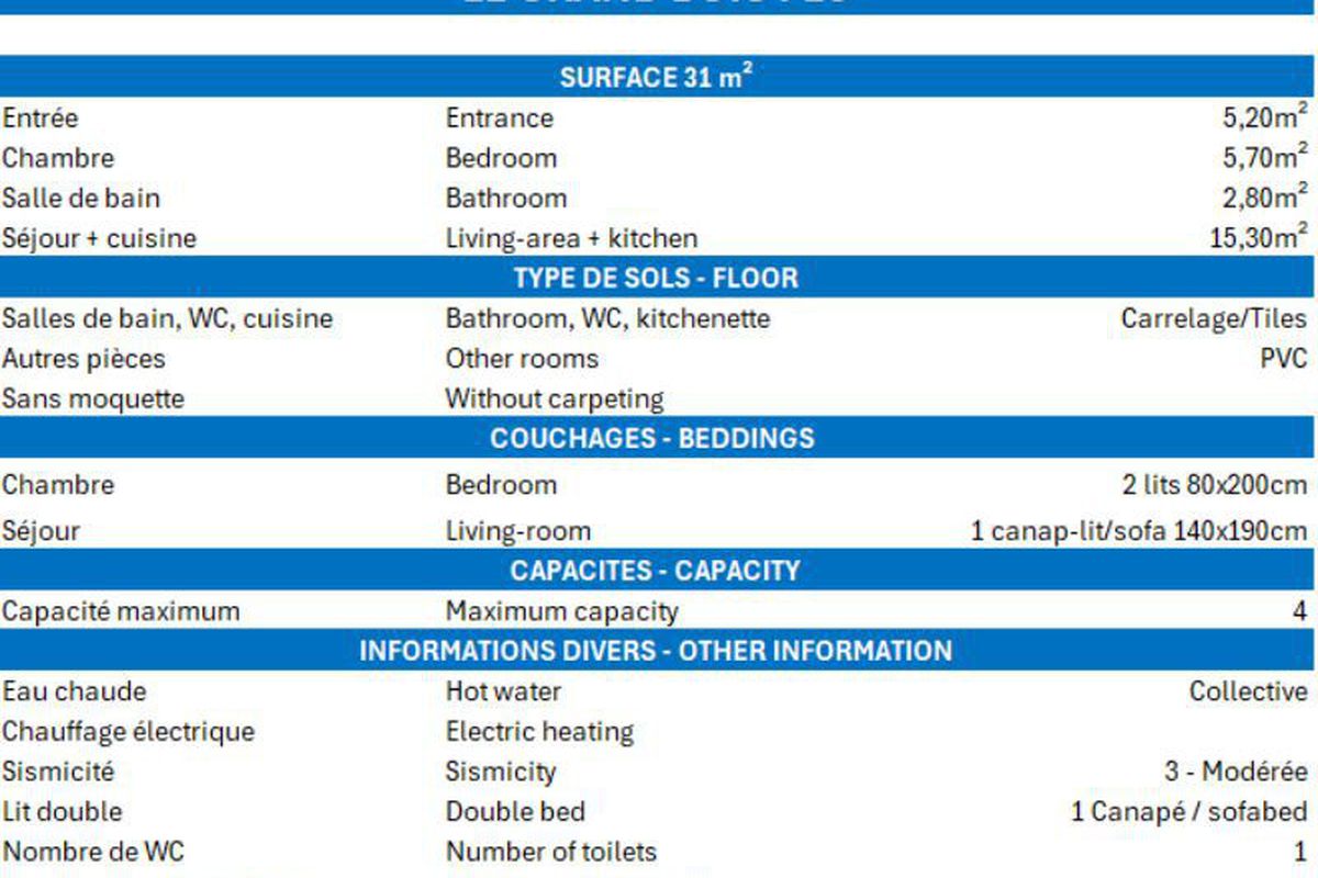 CONFORTABLE 2 PIECES, SKIS AUX PIEDS ET PROCHE DES COMMERCES