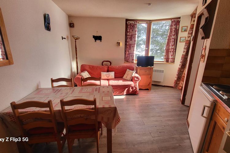 APPARTEMENT SUR LES PISTES  - Le hameau