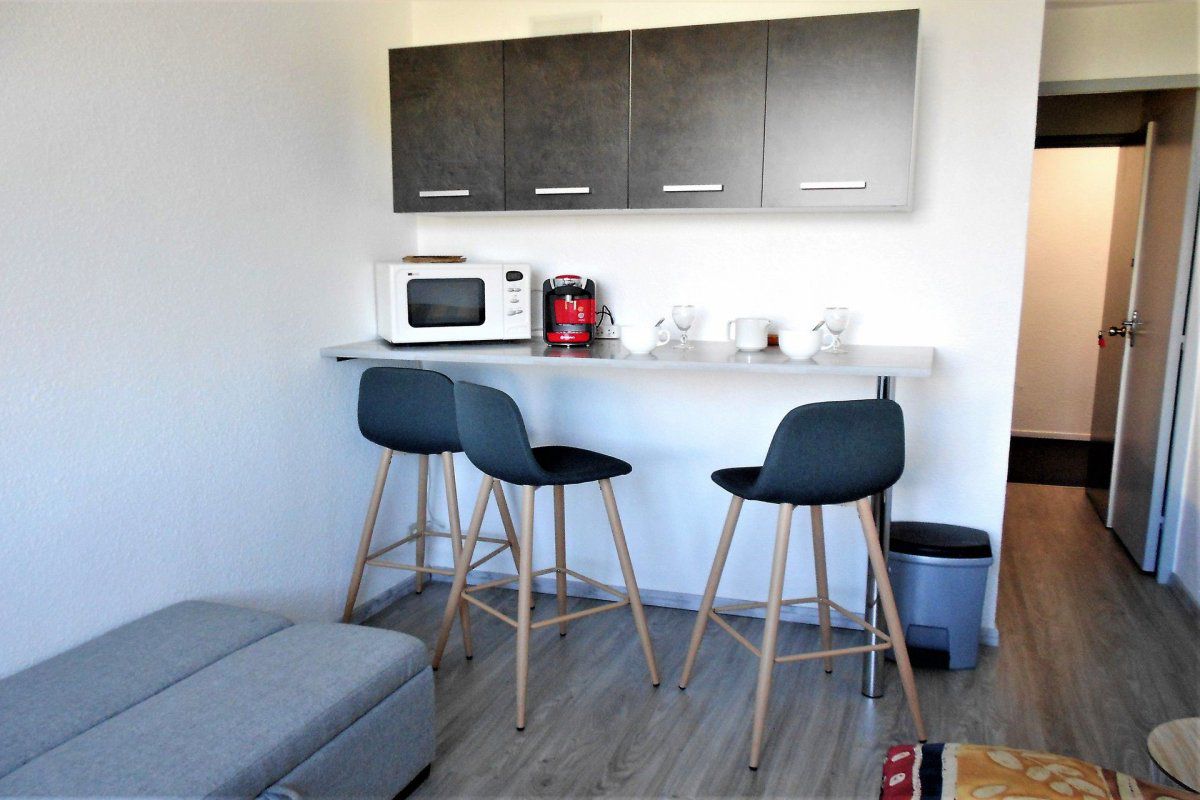 Studio rénové · Skis aux pieds · Vue montagne  - Residence zodiaque