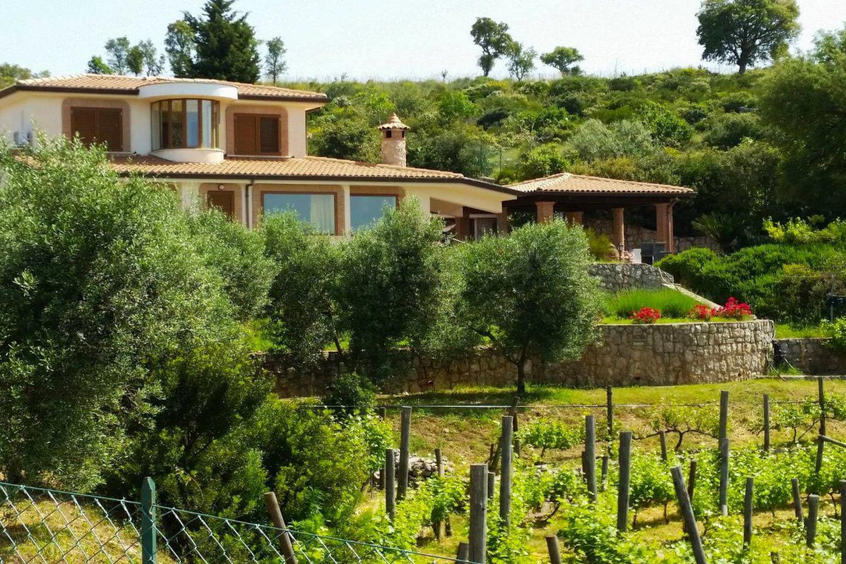 Maison Weintrauben und Sterne Maison