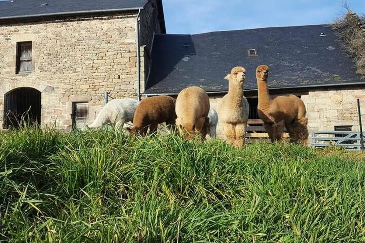 Gîte de France 12 personnes