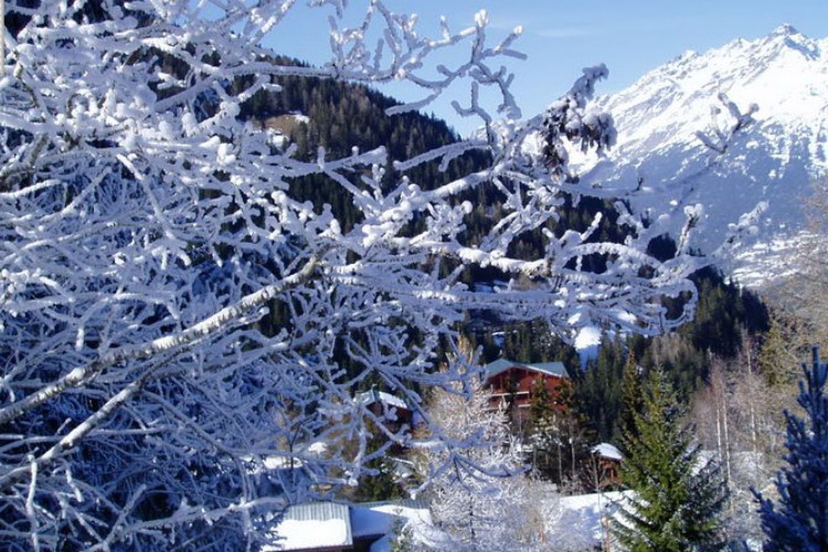 Résidence Les Chalets Du Thabor - Valfréjus