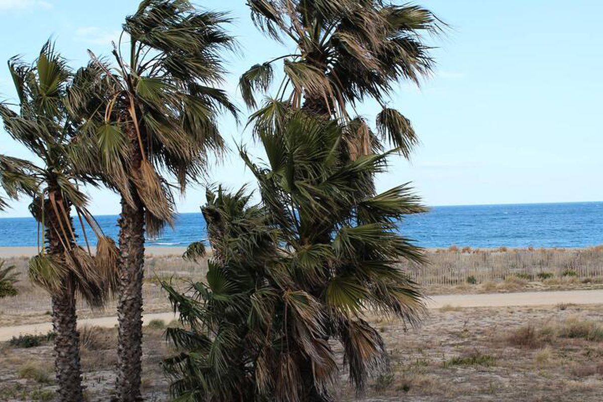 Résidence Lagune Et Mer