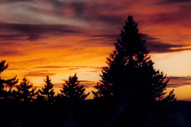 1 Pièce 4 Personnes