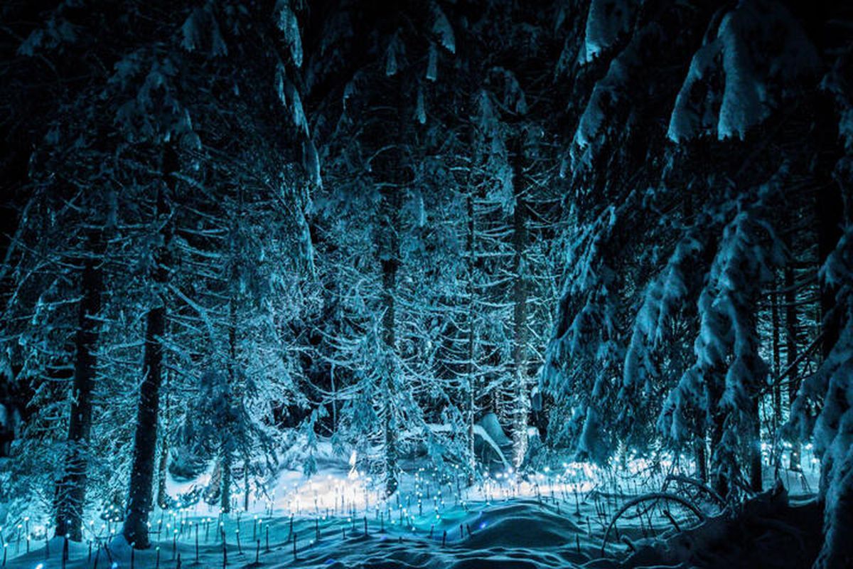 3 Pièces 4 Personnes