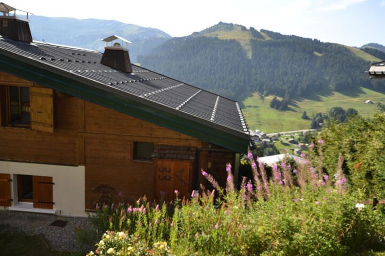 Demi chalet dans un cadre exceptionnel a côté des pistes