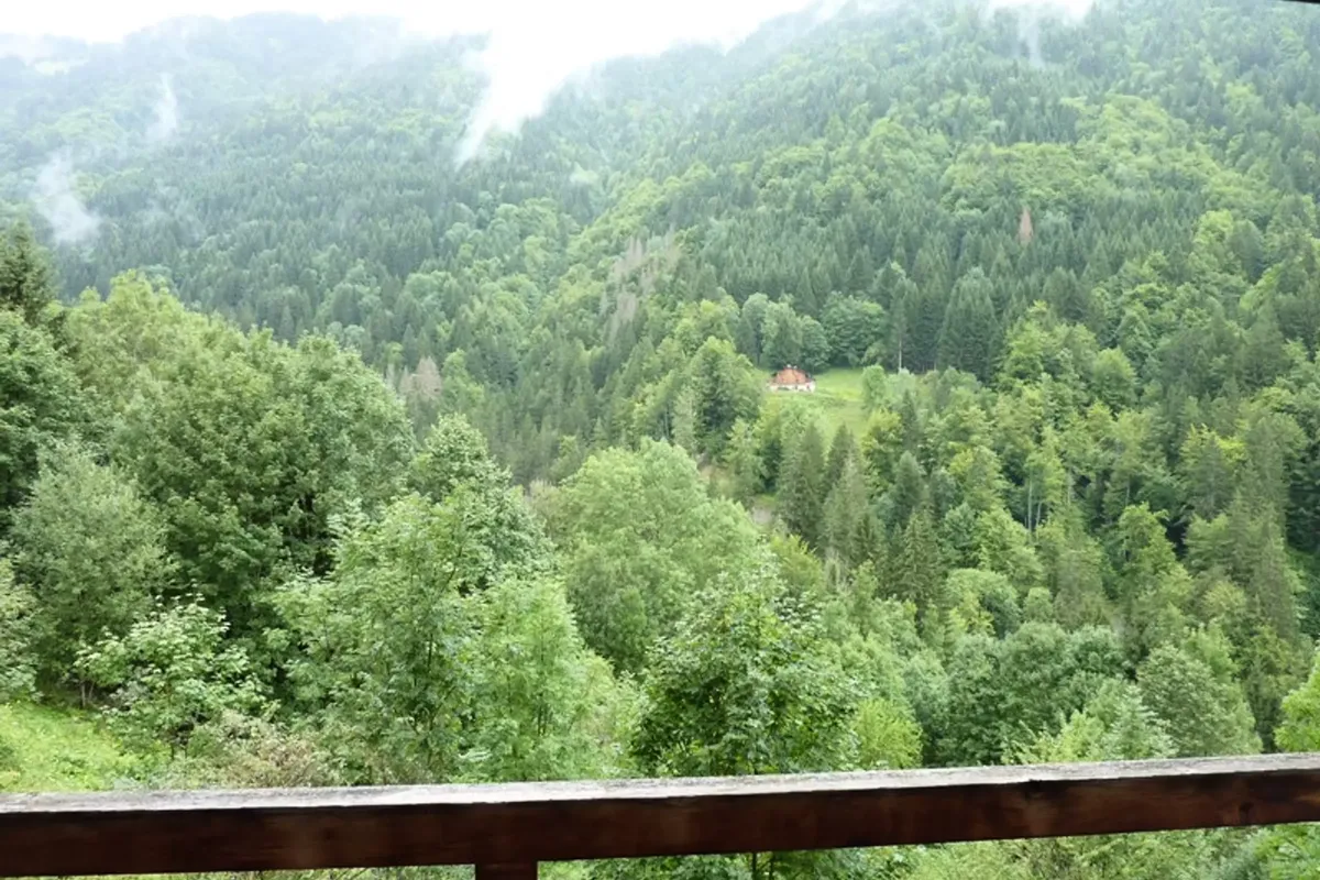 1 Pièce 4 Personnes