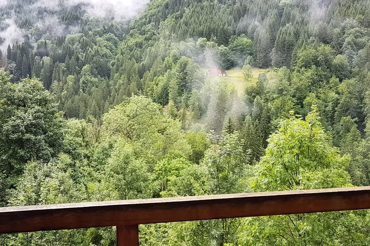 1 Pièce 4 Personnes