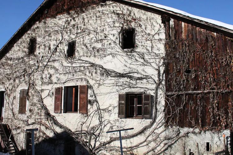 1 Pièce 10 Personnes