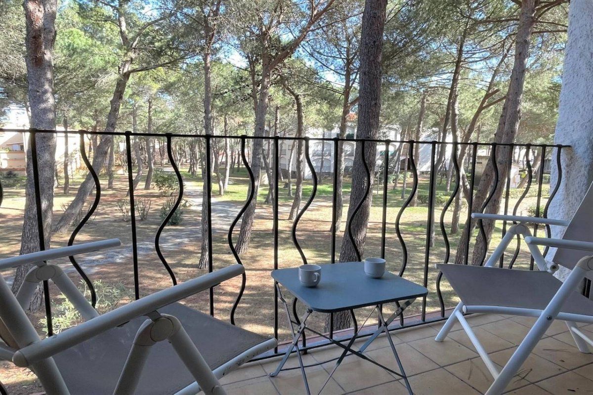 Appartement studio cabine - Argelès-sur-Mer - Concha