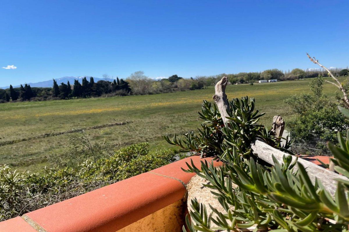 Appart 2 pièces 4 couchages ARGELES SUR MER - Paganes