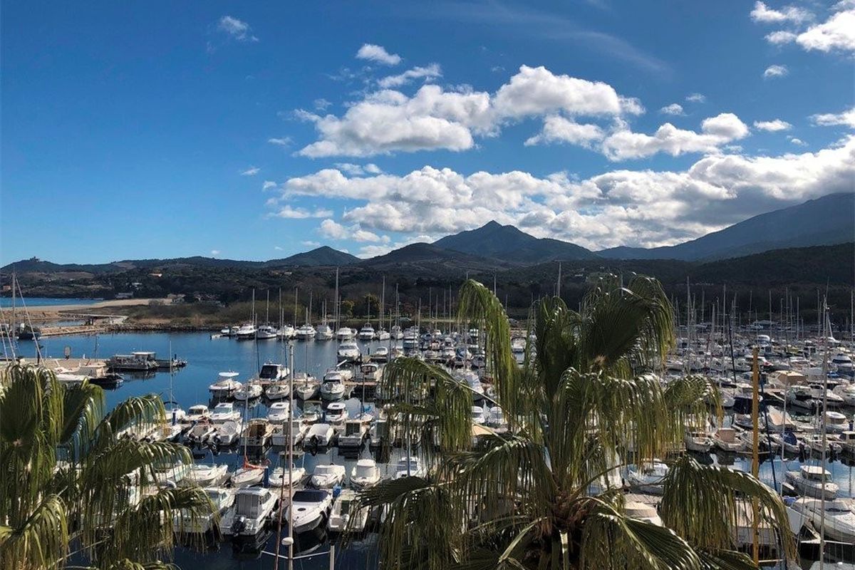 Jolie F2 Climatisé face au port  ARGELES SUR MER - Acapulco