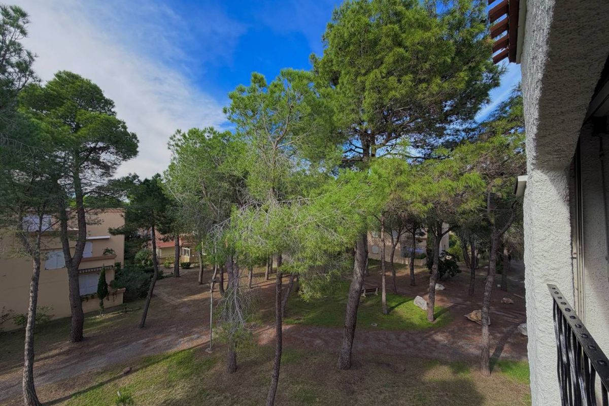 Appartement T2  4 personnes  Plage-Nord Argelès-sur-Mer - Catalina