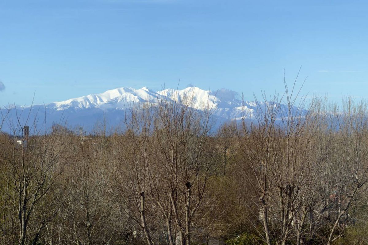 T2 mezzanine avec piscine  À 100 m de la plage  Argelès-sur-Mer - Le palais d'été