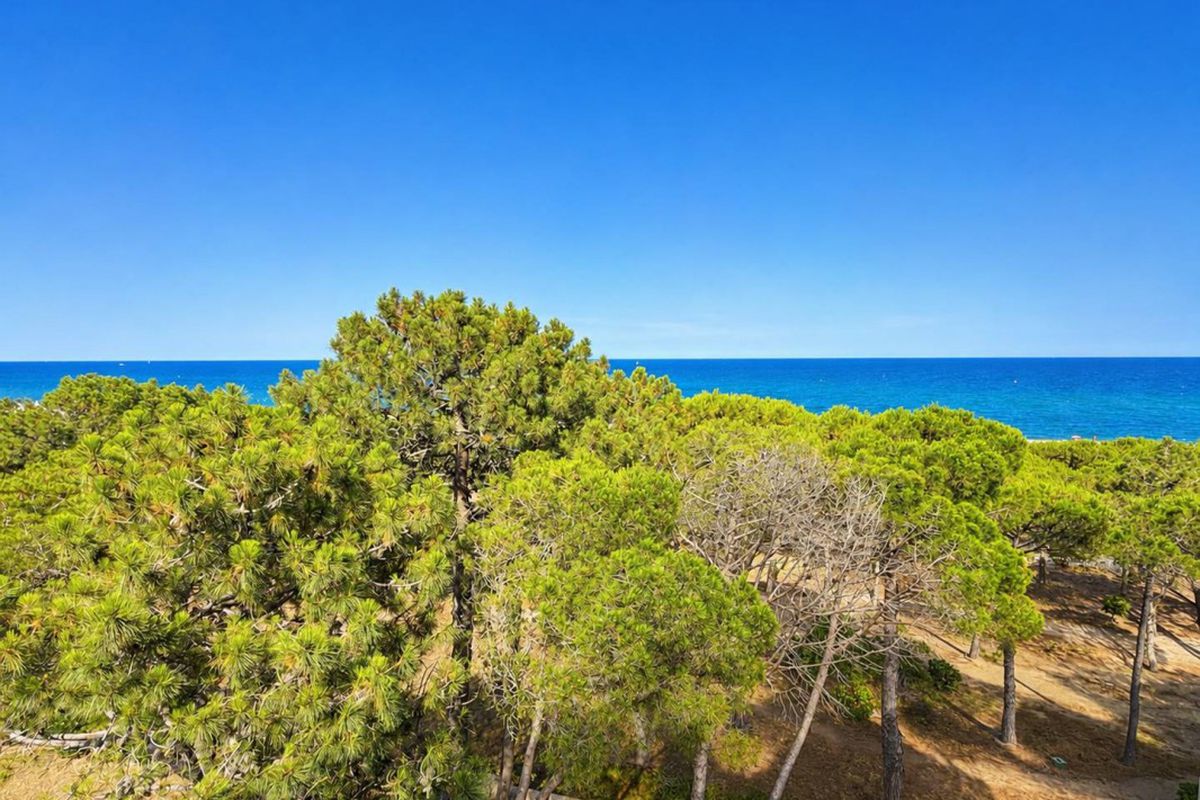 T2 Coquet avec jolie vue mer  Plage Nord à Argelès-sur-Mer - Le panoramic