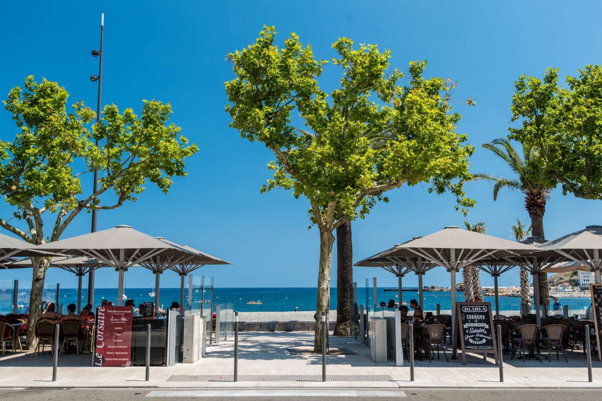 Appart 3 pièces 4 couchages BANYULS SUR MER - Cadamont 2