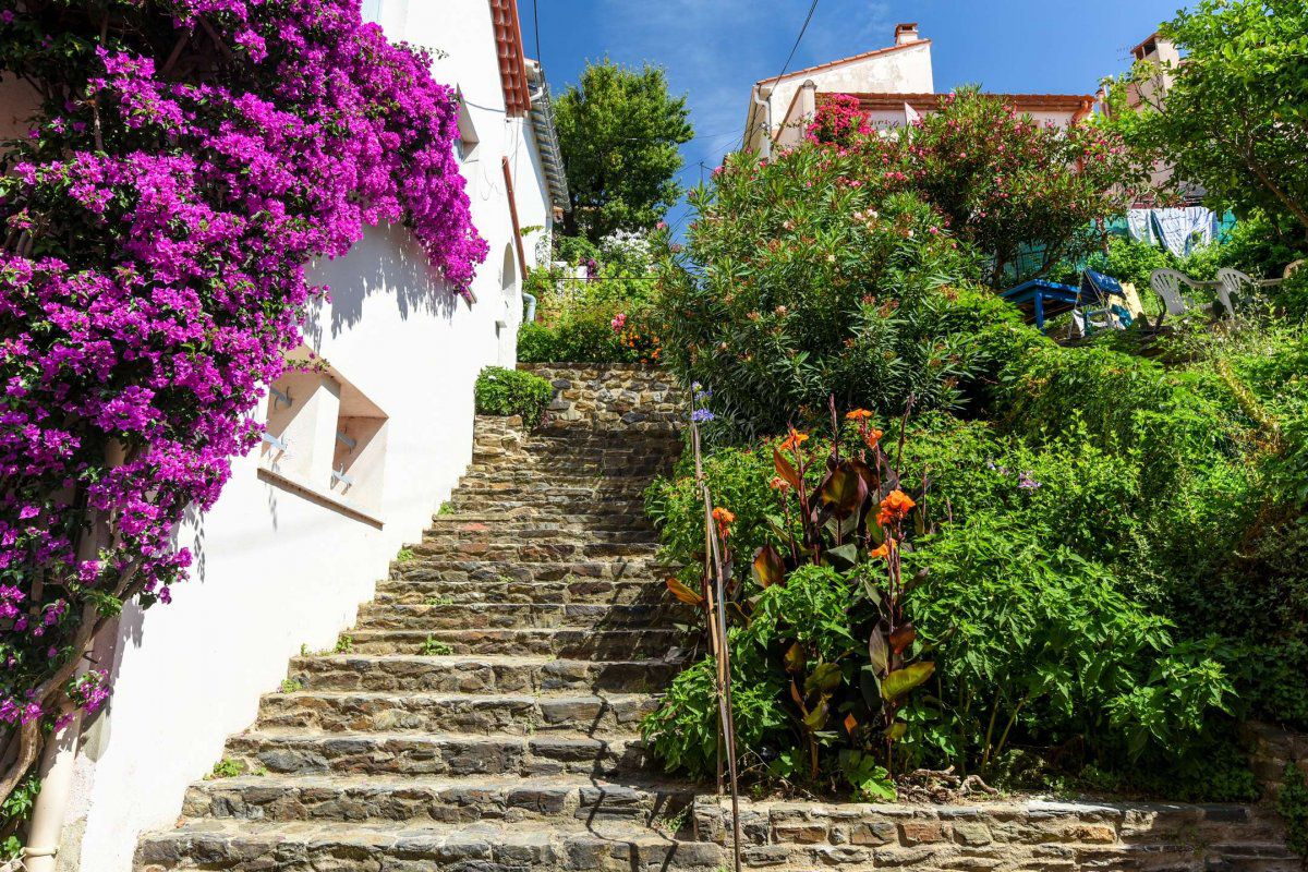 Appart 3 pièces 5 couchages BANYULS SUR MER - 5 rue napoleon