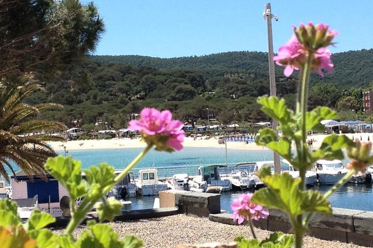 1 Pièce 4 Personnes