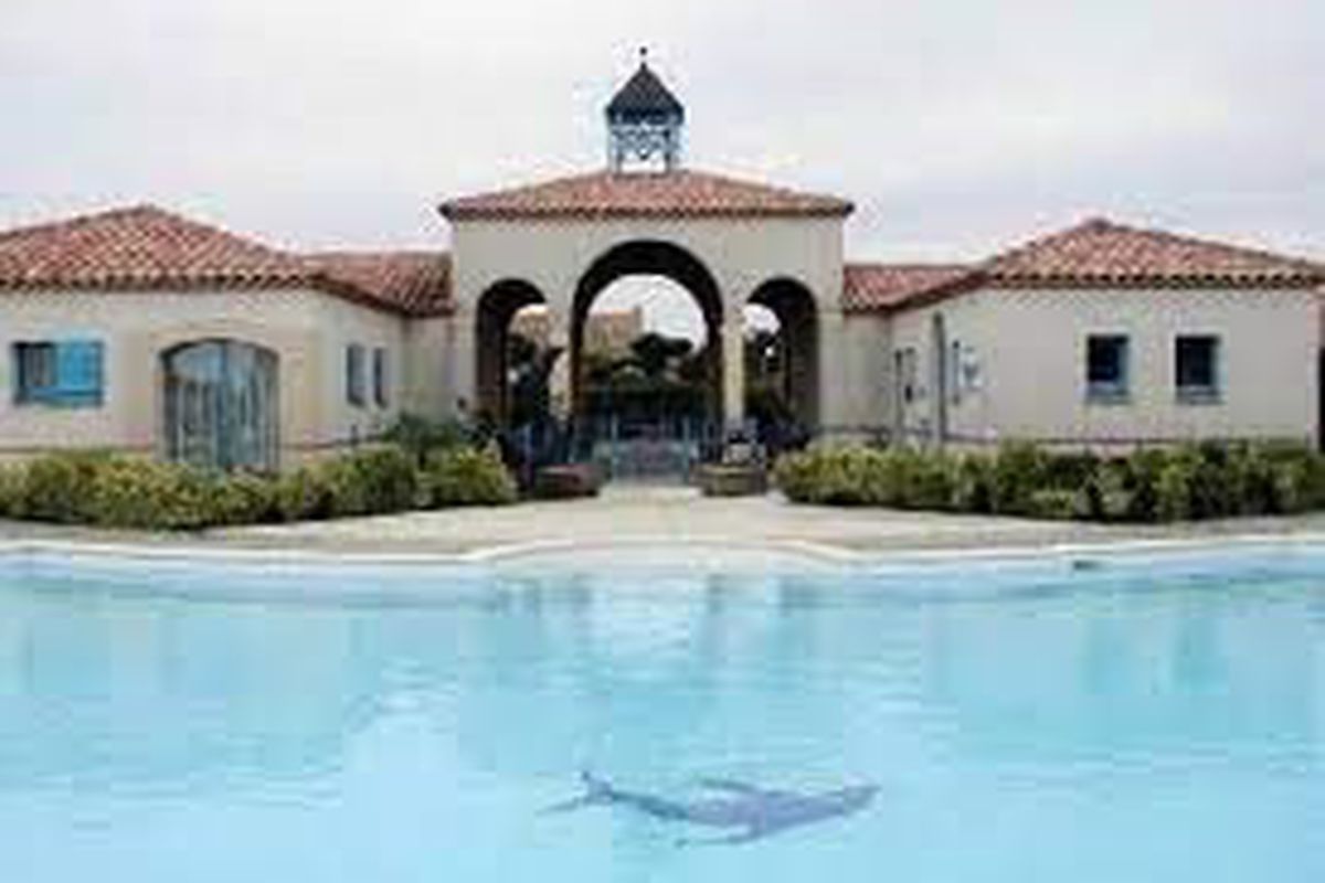 Mais 2 pièces / mezz 4 couchages BRETIGNOLLES SUR MER - Grand large