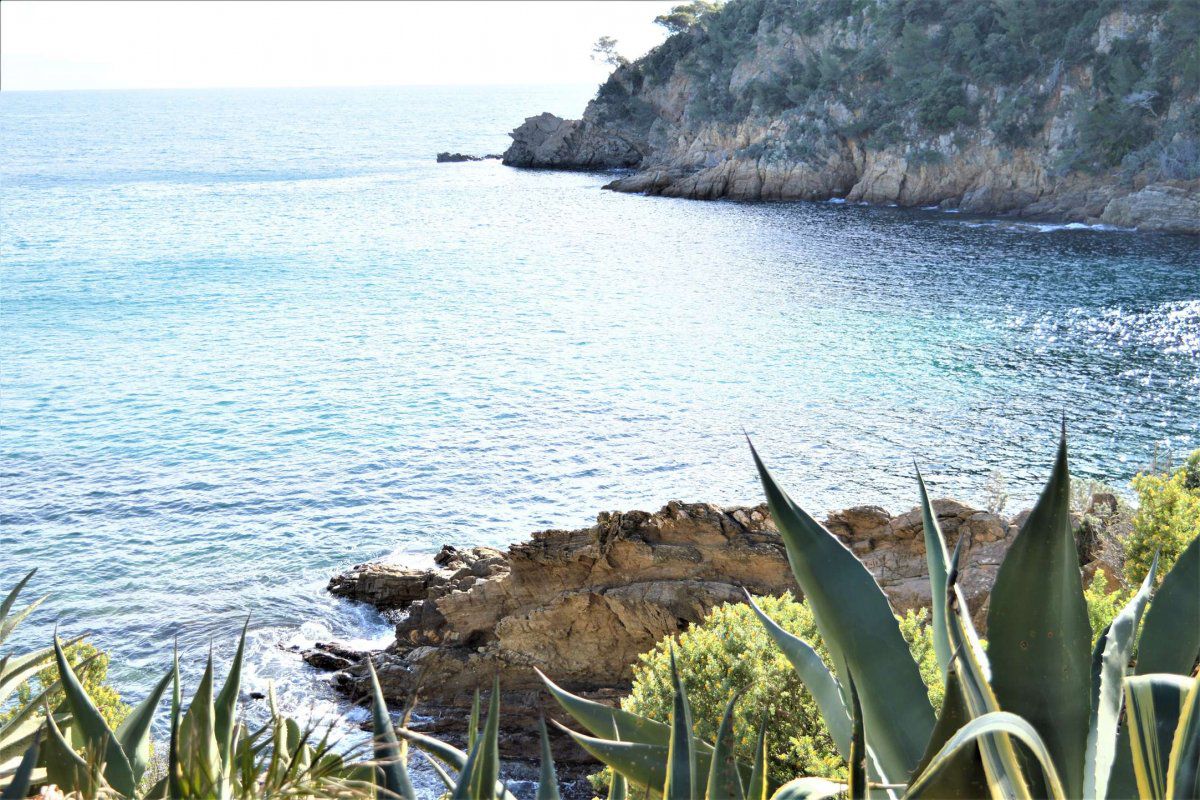 APPARTEMENT 2 PIÈCES 4 COUCHAGES CAVALAIRE SUR MER - Les jardins de la fontaine