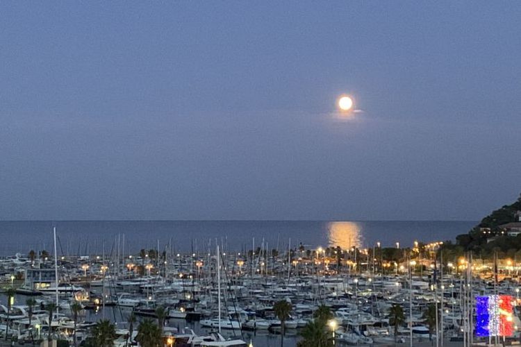 Appartement Le Grand Pavois