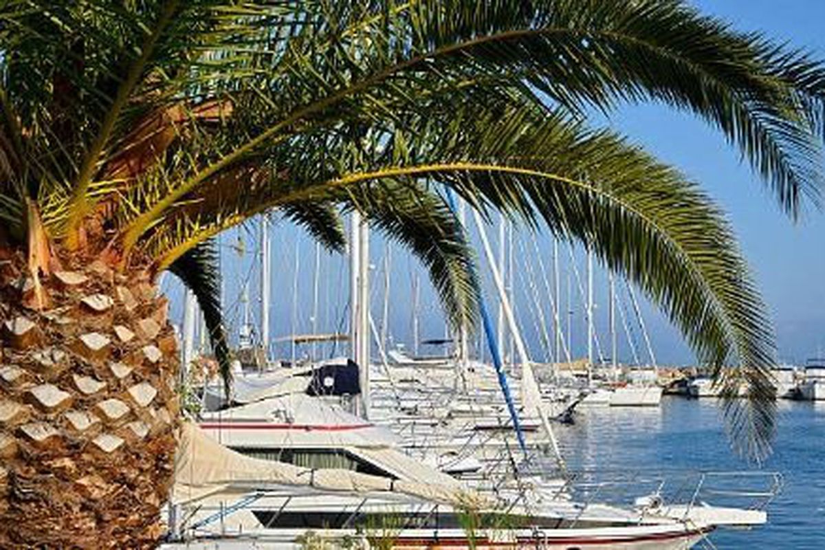 Appartement Studio coin nuit 4 couchages LE LAVANDOU - Alicastre