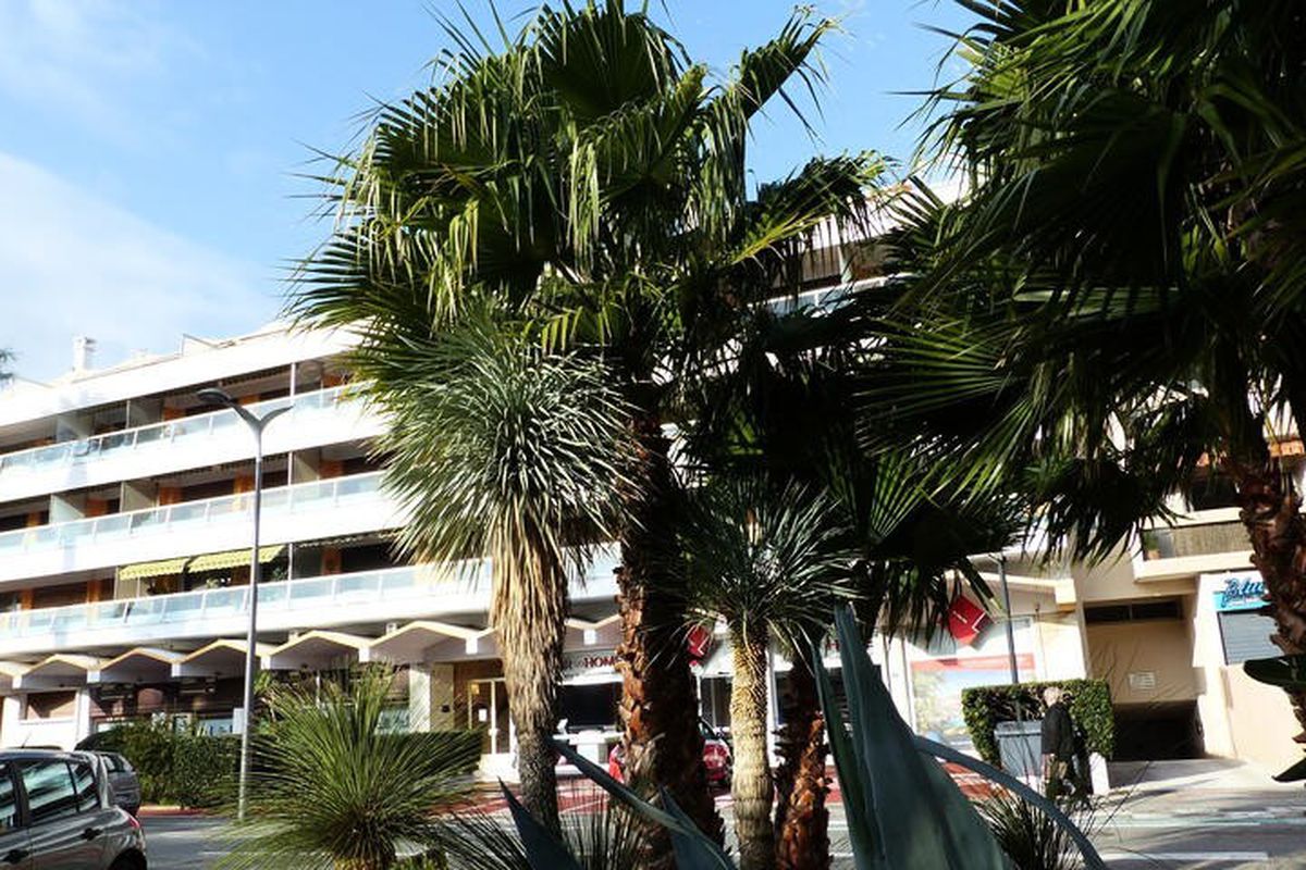 2 Pièces 4 Personnes