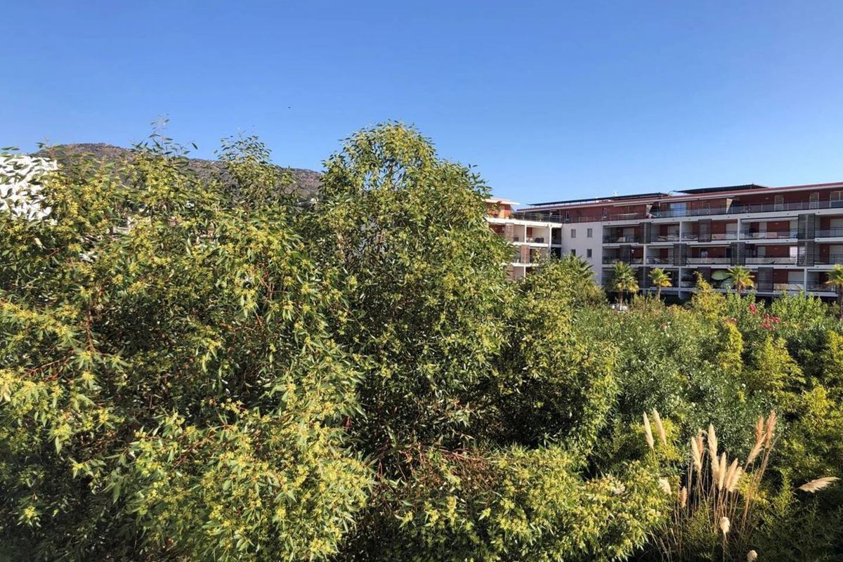 Appartement 3 pièces souplex - 4 couchages - LE LAVANDOU - Peregaux