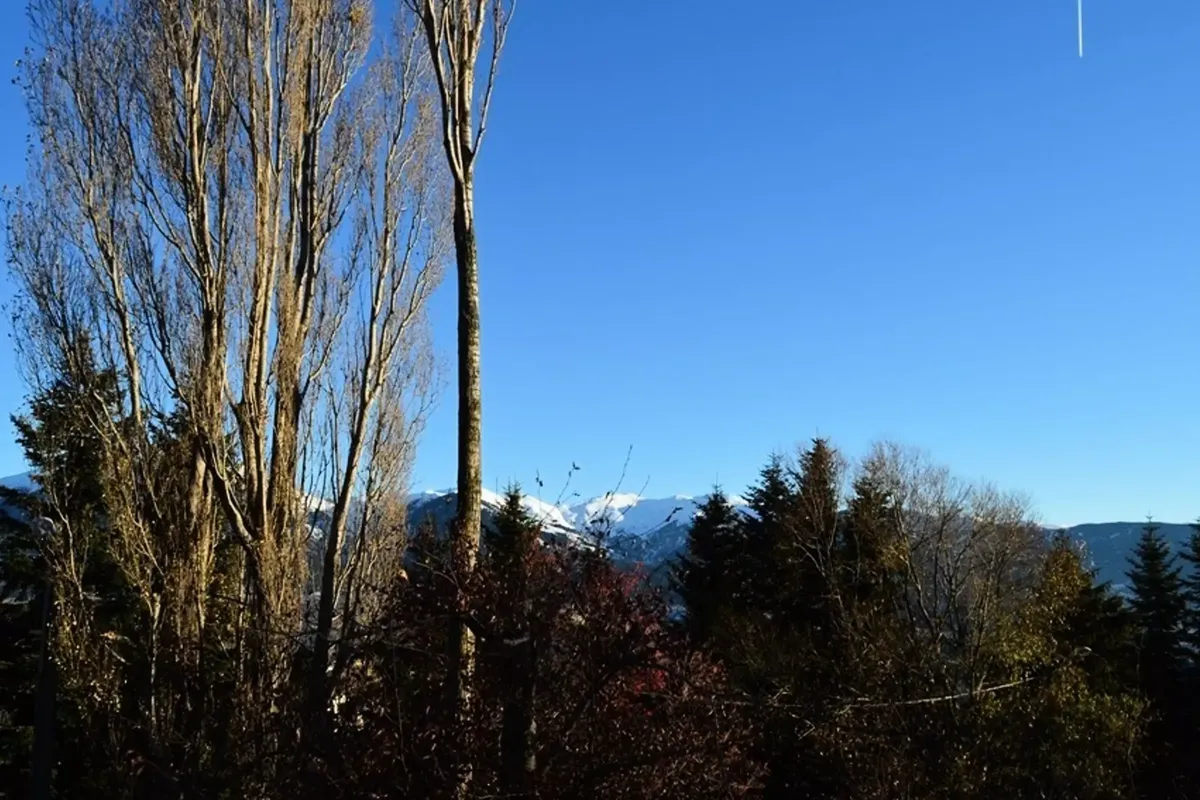 3 Pièces 6 Personnes