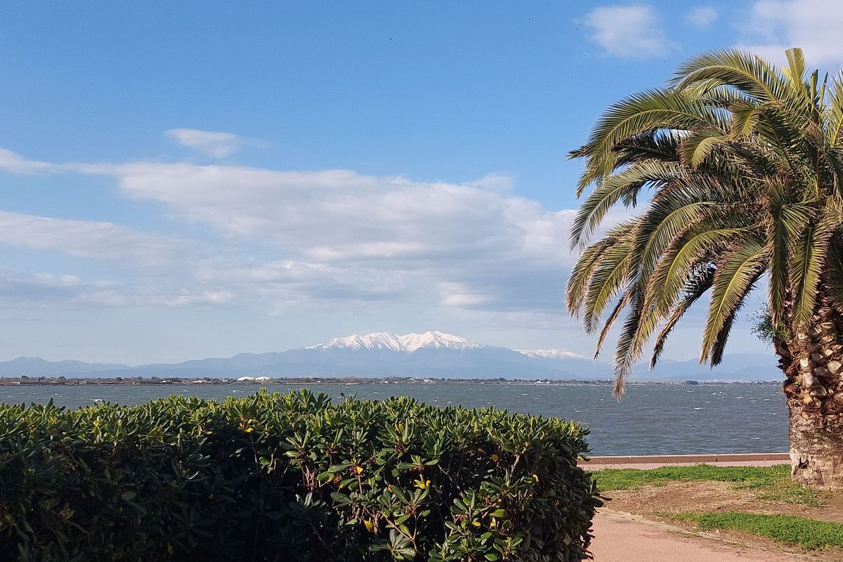 Appartement Dominica