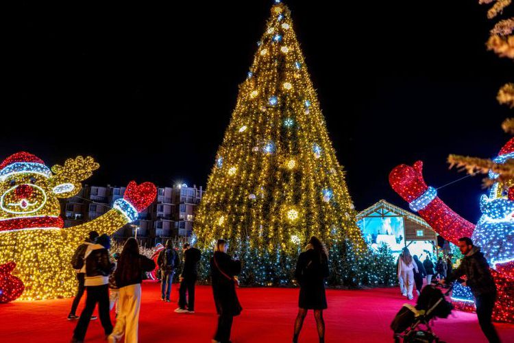 Appartement Coudalère/Guadeloupe