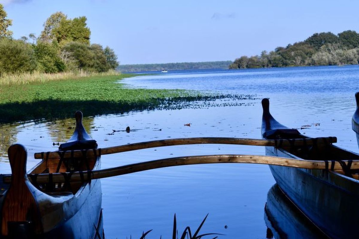 Appartement Standort Mimizan Plage