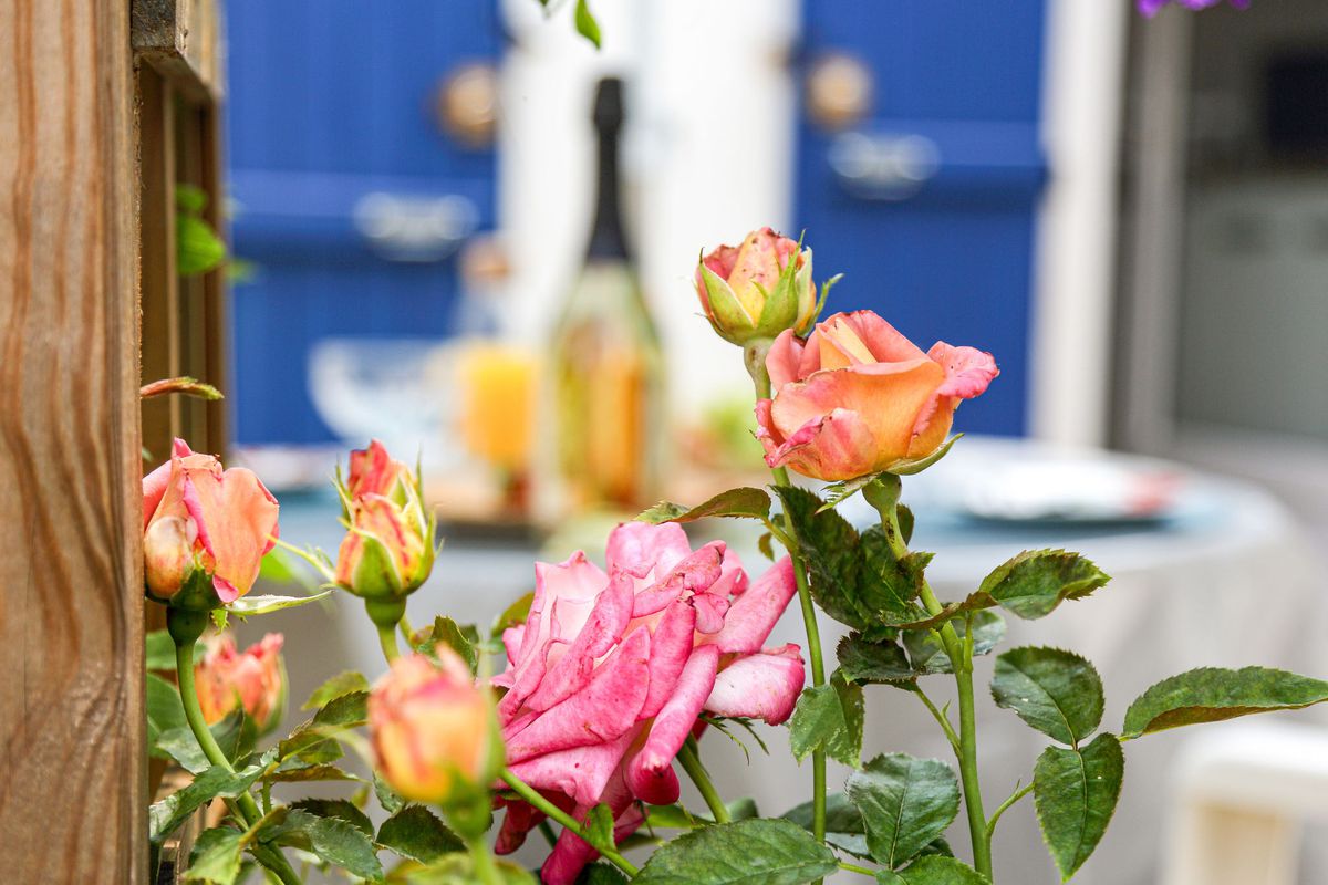 Maison Jardin Secret