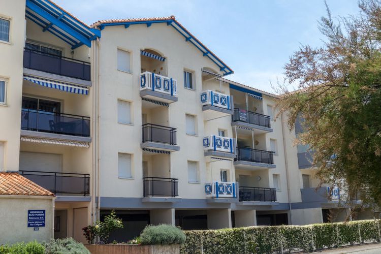 Appartement Bleu Marine