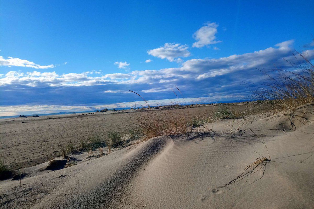 P2 4 couchages PORT CAMARGUE - Le chabian