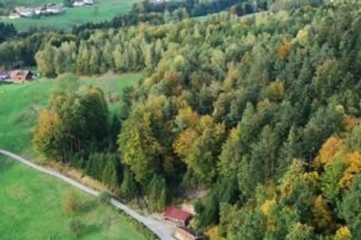 3 Pièces 4 Personnes