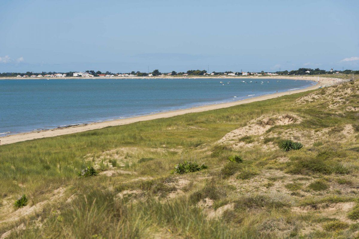 Appart 3 pièces - 5 couchages LA GUERINIERE - Jolie baie