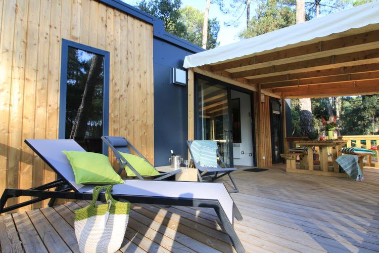 Maison Premium Cocoon