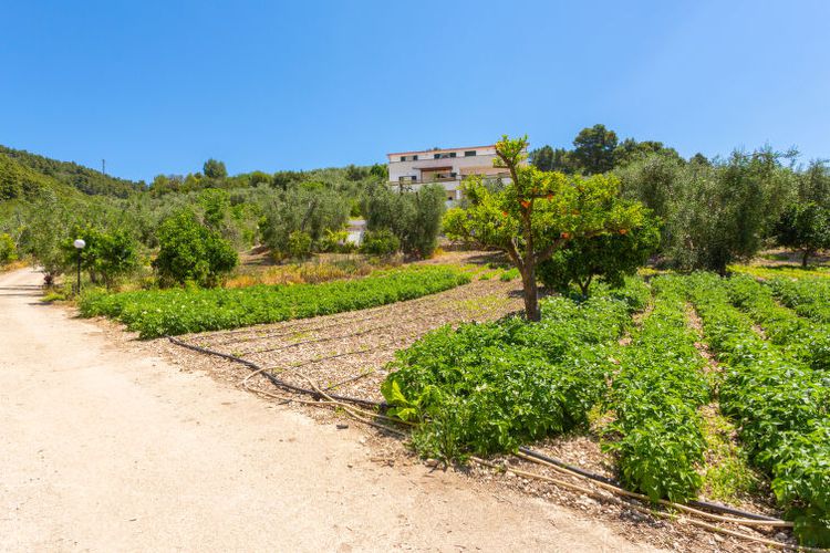 Appartement Villa Tavaglione