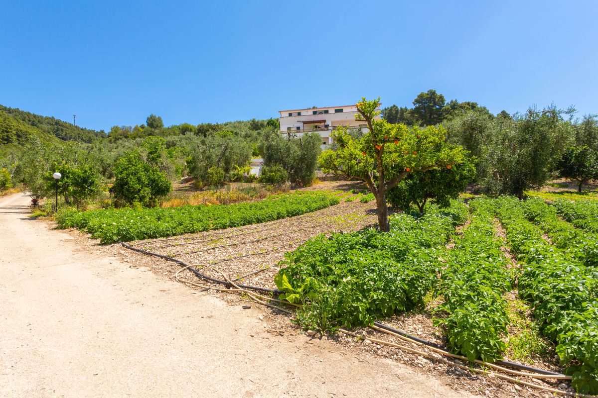 Appartement Villa Tavaglione