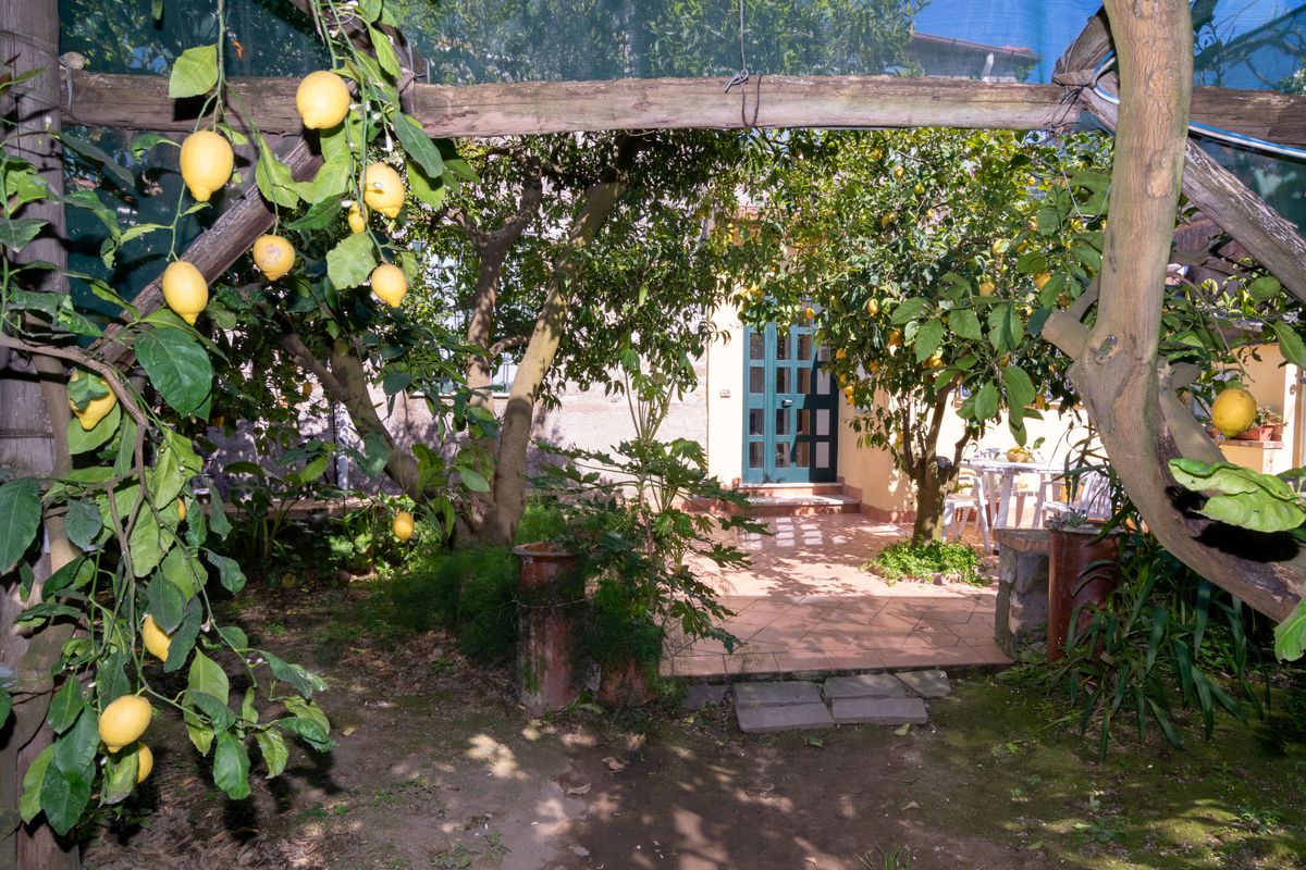 Appartement Il Montano