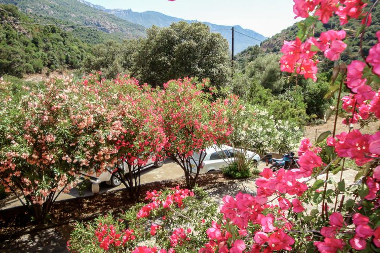 Appartement Residence Cabanaccia Studio 38m²