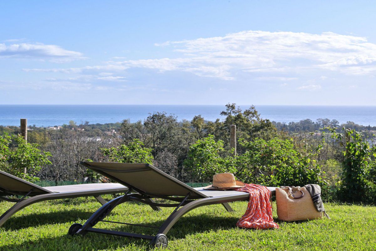 Maison Weingut Punta della Guardia Panorama von Macchia und Meer