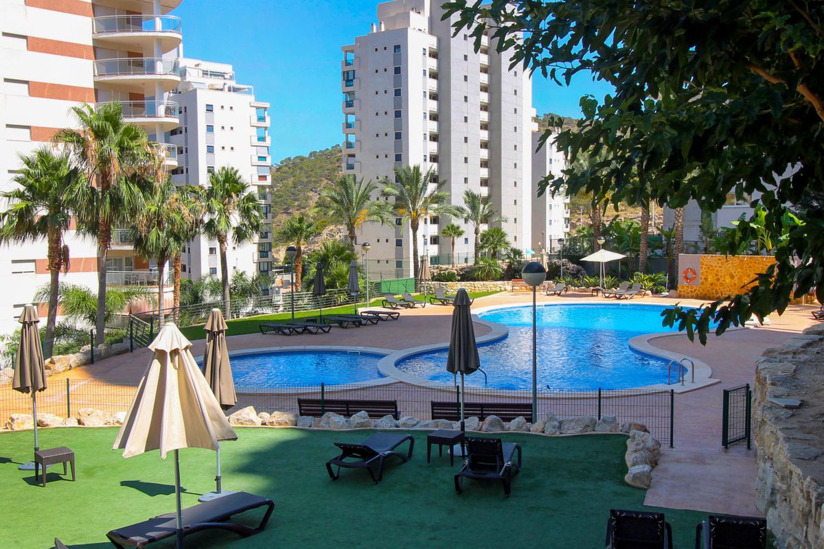 Appartement Torre Maestral