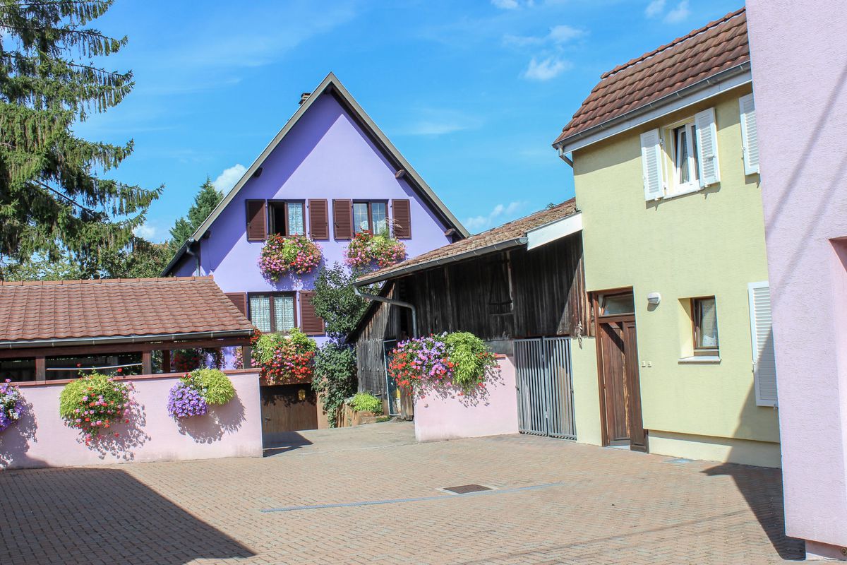 Appartement Résidence jaune et rose