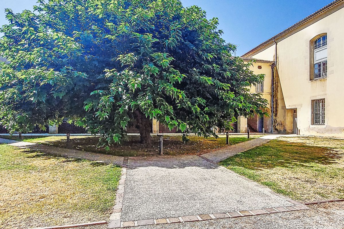 Appartement Le Couvent