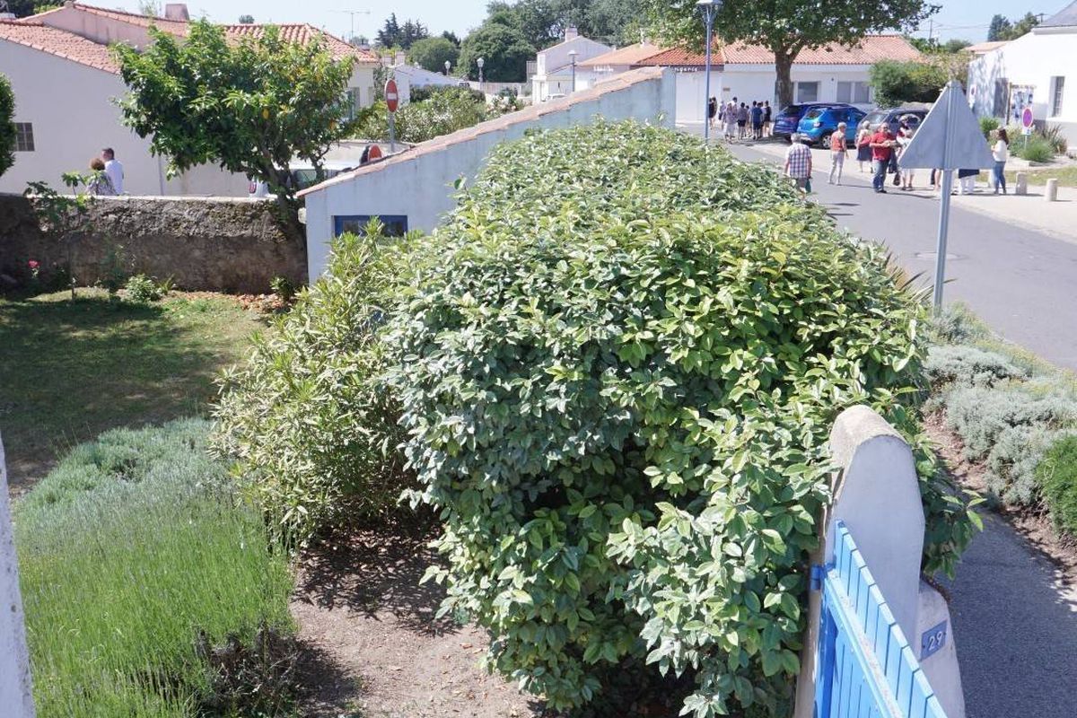 Mais 3 pièces et annexe- 6 couchages - L'EPINE