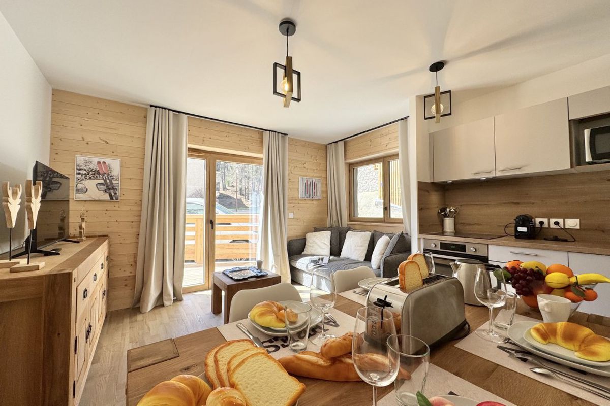 T3 RESIDENCE NEUVE, CENTRE VARS, 150m DES PISTES - Living stone b